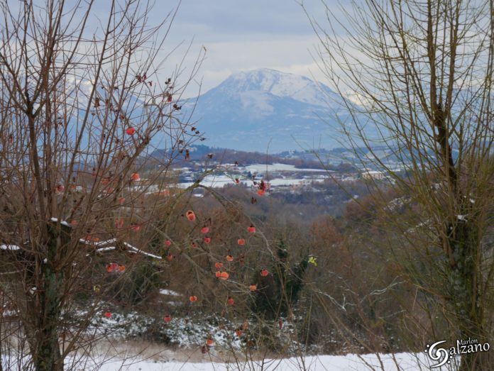 NEVE GENNAIO 2019 (64)