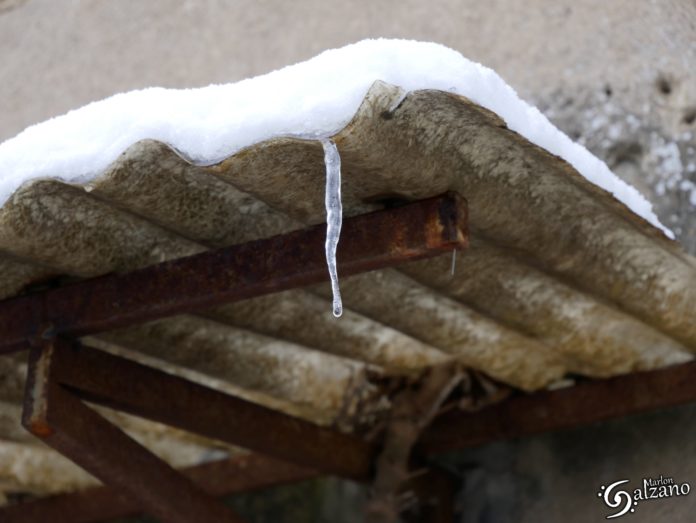 NEVE GENNAIO 2019 (8)