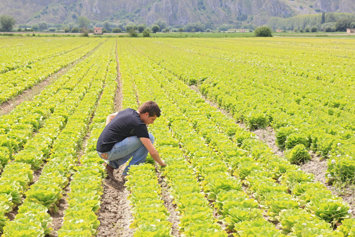 giovane-agricoltore