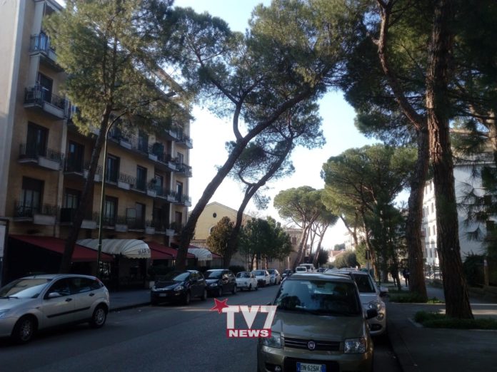 ALBERI CONTROLLO VIALE ATLANTICI 19-2-19 (19)