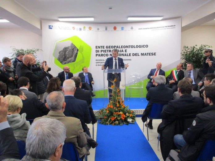 ENTE PALEONTOLOGICO MINISTRO COSTA 5