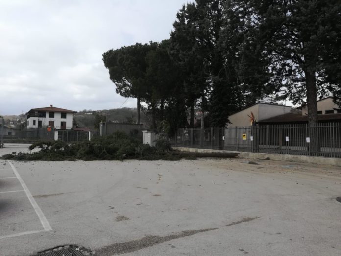 ALBERI SPEZZATI