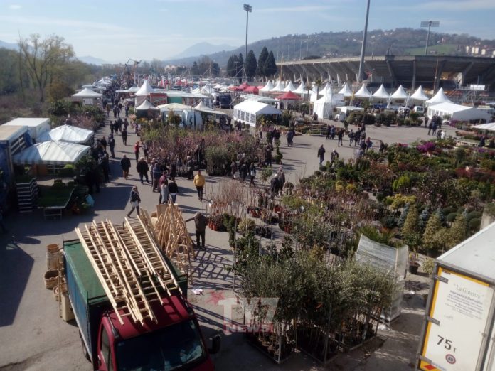 FIERA DI SAN GIUSEPPE 2019 (1)