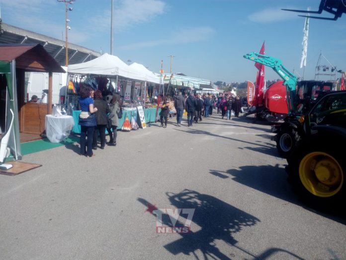 FIERA DI SAN GIUSEPPE 2019 (9)