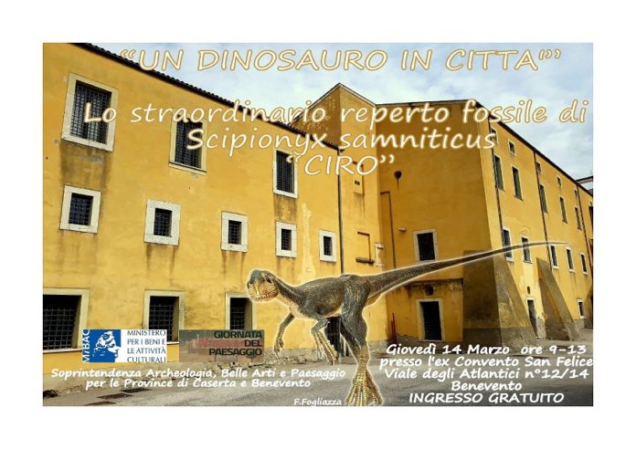 Giornata ecologica