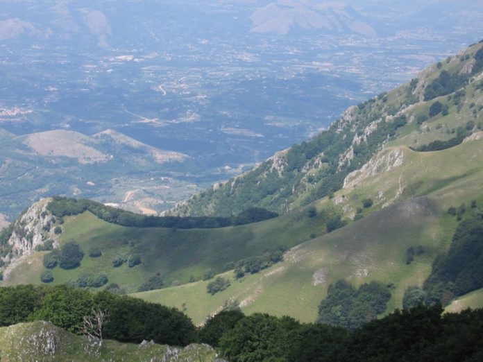Taburno