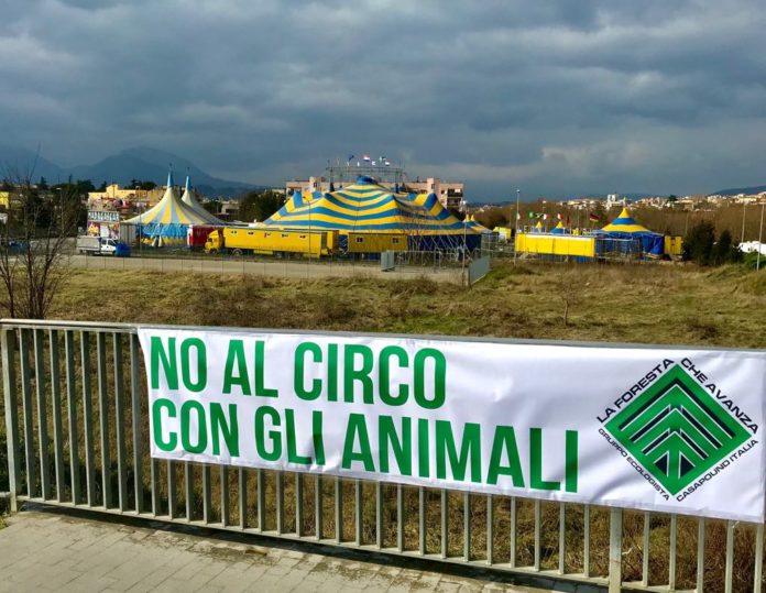 circo