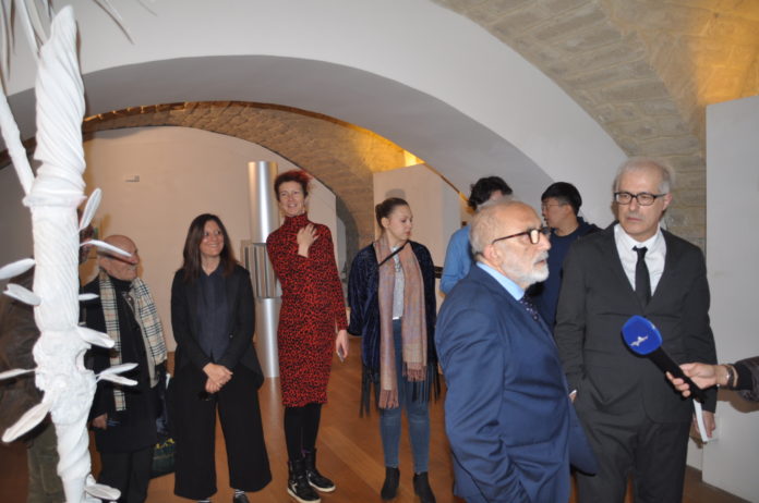 Mostra Arcos 2019DSC_0217