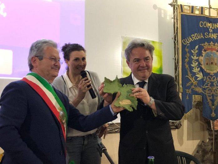 felicori 1