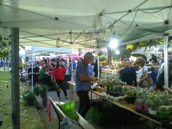 BENEVENTO IN FIORE 1