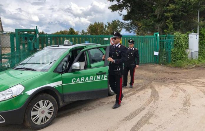 Carabinieri forestali
