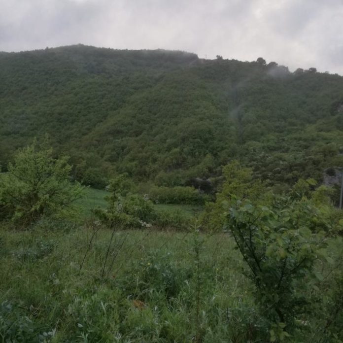 Monte carabinieri