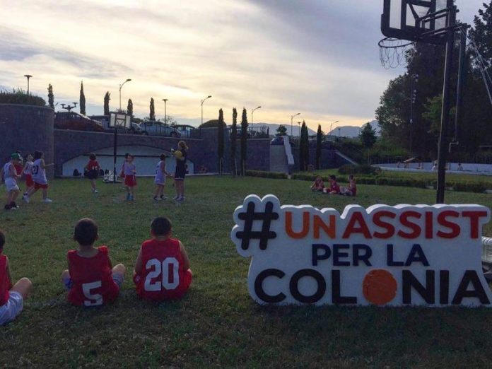 Assist Colinia 8