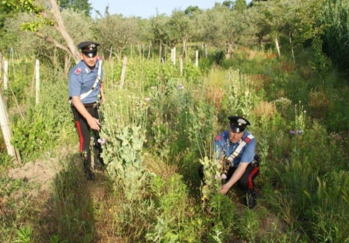 Carabinieri droga