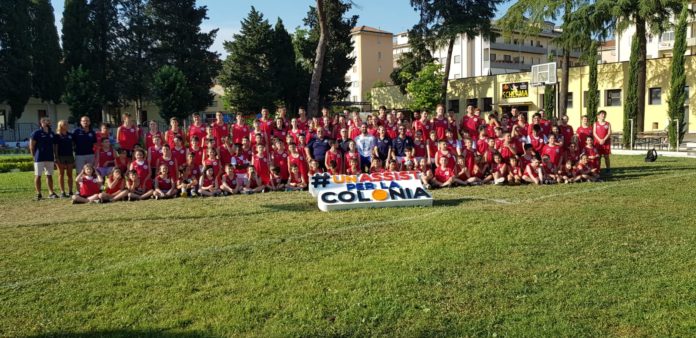 Colonia ok