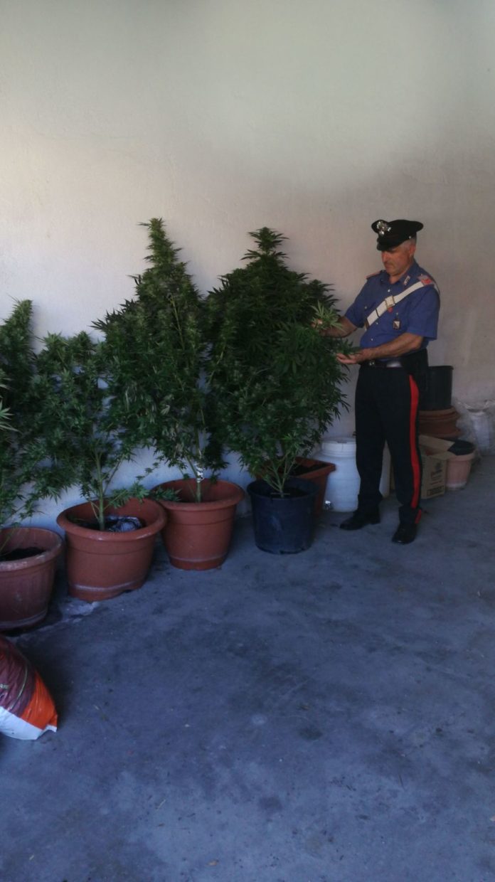 Droga carabinieri