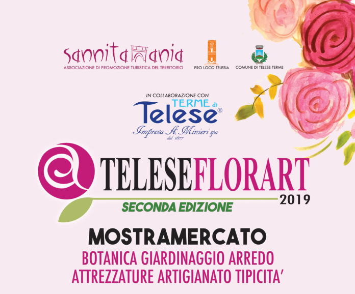 TV7_slade01