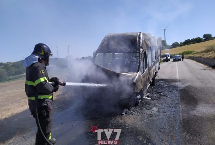 INCENDIO PULMINO 3
