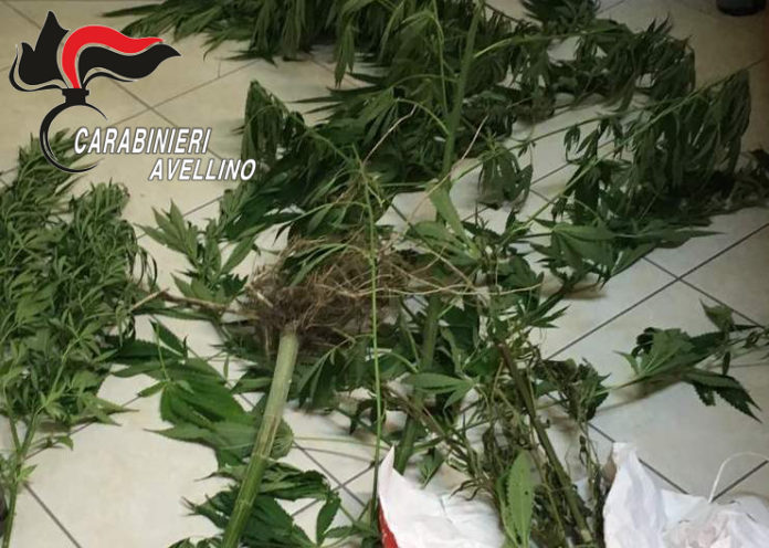 CARABINIERI DROGA 1