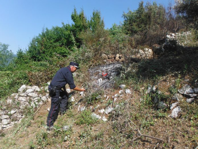 INCENDIO BOSCHIVO