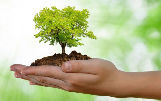 CAMPAGNA UN ALBERO IN PIU