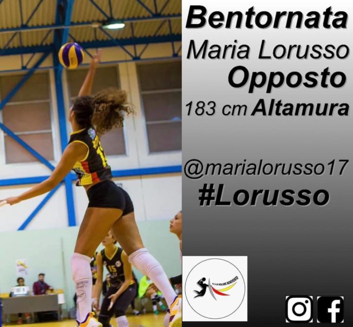 Lorusso