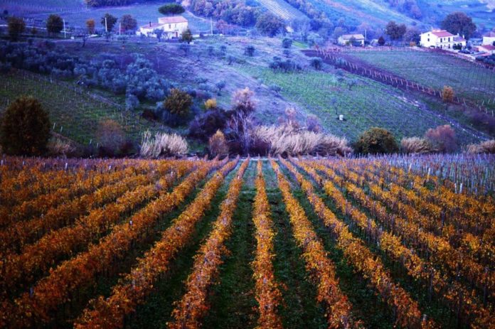 Paesaggio