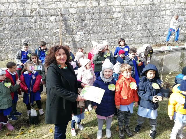FESTA ALBERO