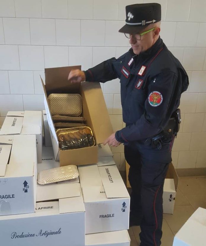 Carabinieri forestali
