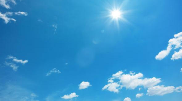 Sole