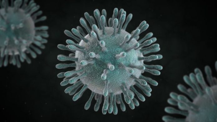 coronavirus 4