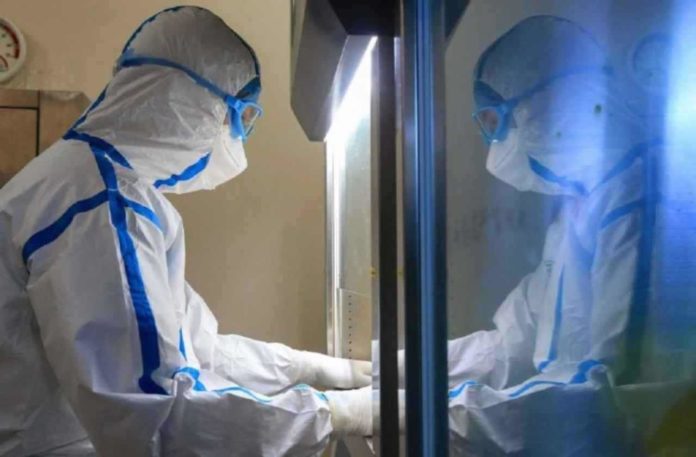 coronavirus-11