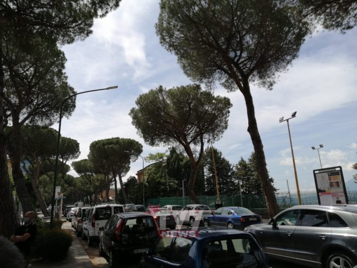 ALBERI VIALE DEGLI ATLANTICI DE JAPINIS-SGHERZI 4-6-20 (2)
