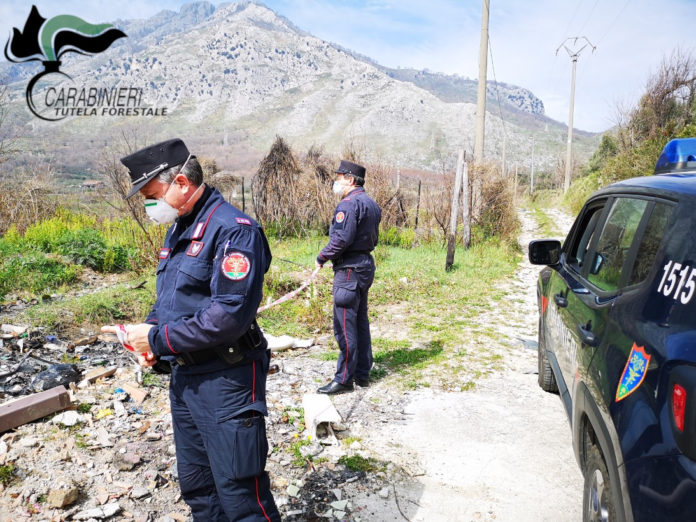 Carabinieri Forestali