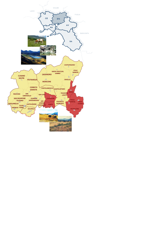Strategia Area Interna - Pitola Tammaro Titerno