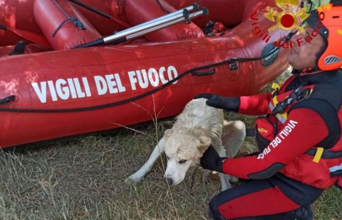 Vigili del fuoco 3