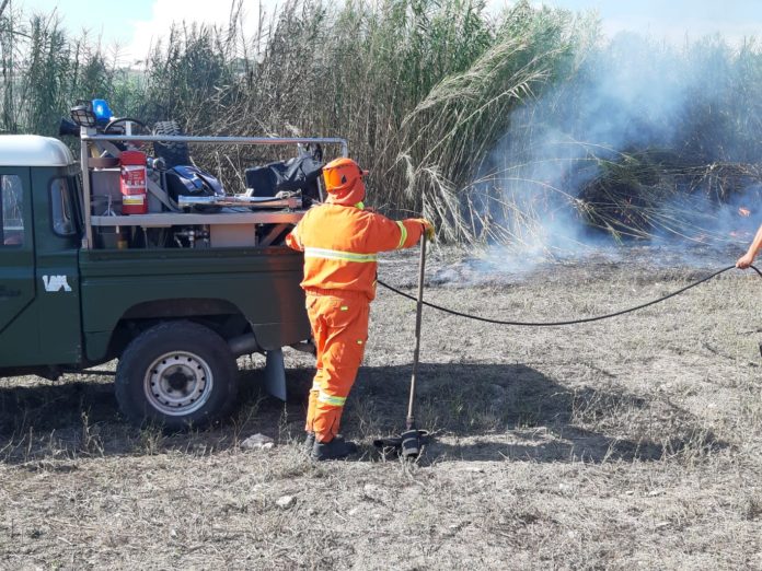 INCENDIO BOSCHIVO 2