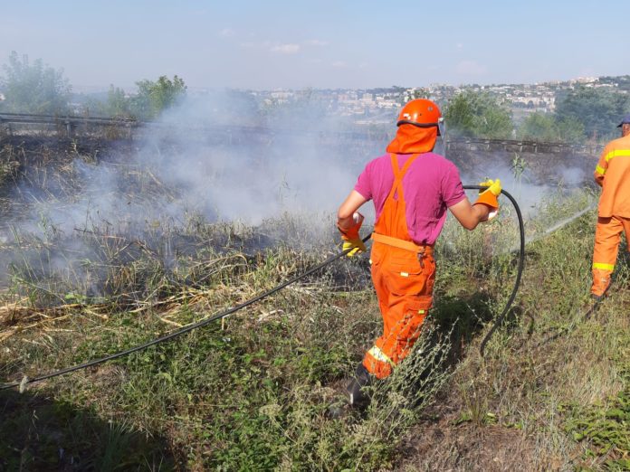 INCENDIO BOSCHIVO 6