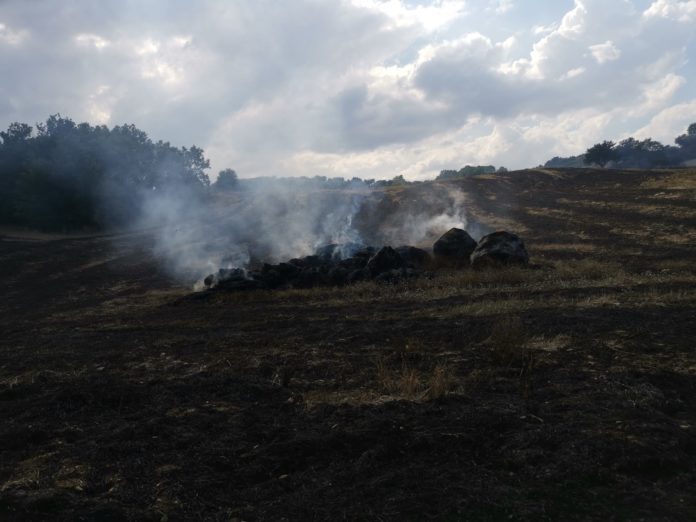 Incendio boscoimage4