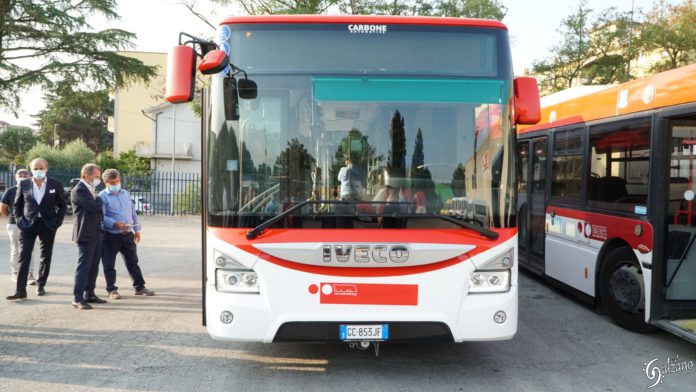 TROTTA BUS (3)