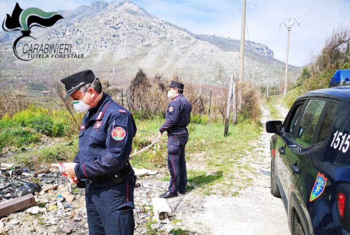 carabinieri forestali 1