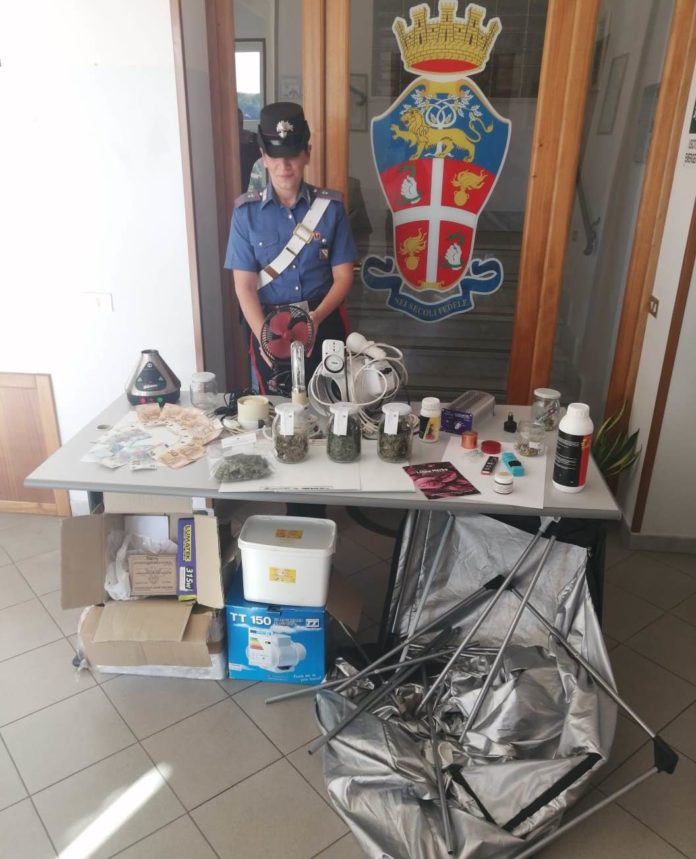 Carabinieri droga BAselice