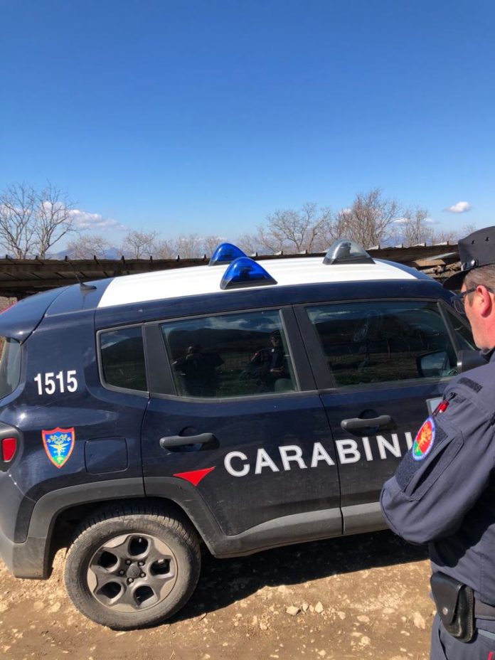 Carabinieri forestale
