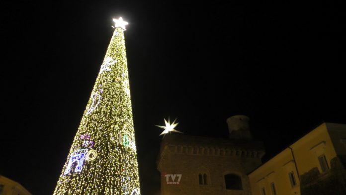 ALBERO NATALE PIAZZA CASTELLO (1)