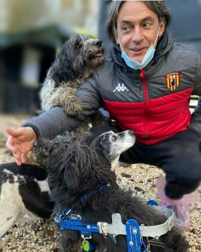 INZAGHI CANI