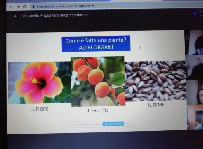 Moscati Ambiente 1