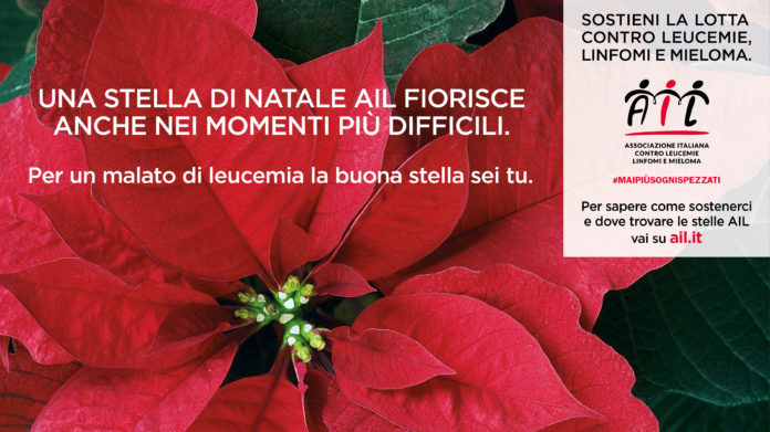 Stelle di Natale 2020