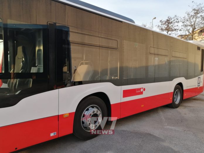 TROTTA MOBILITY NUOVI BUS 1
