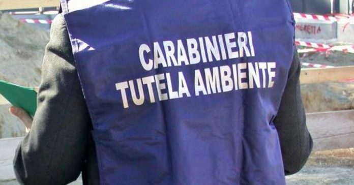 carabinieri noe