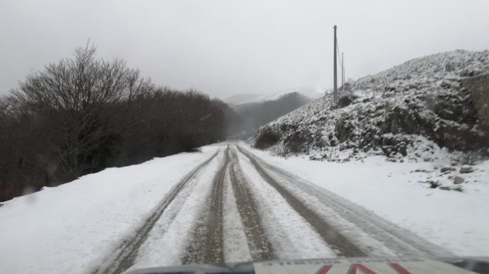 NEVE 3-1-21 (2)